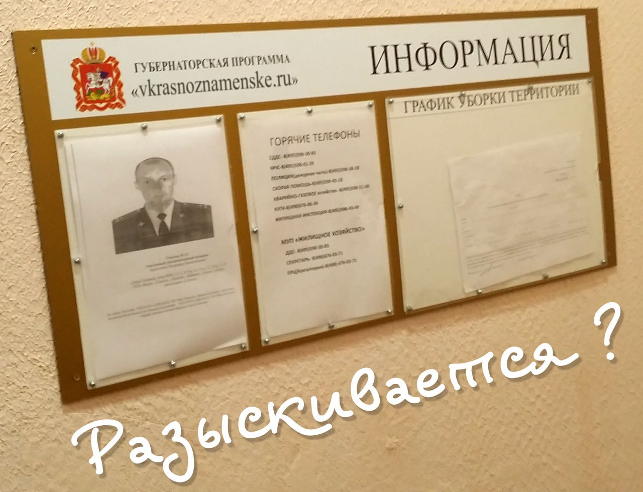 разыскивается в городе Краснознаменск Московской области разыскивается в городе Краснознаменск Московской области