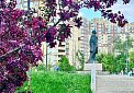 Цветущий Краснознаменск