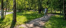 Тропы, которым пора стать частью тротуара