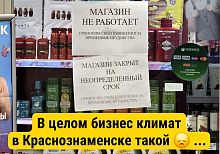 Бизнес-климат в Краснознаменске