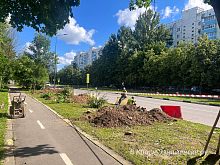 Затронет ли новая остановка велодорожку?