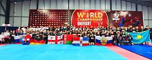 Чемпионат Мира 2025 по универсальному бою