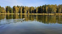 Сегодня расскажем об одной из главных достопримечательностей Городского парка